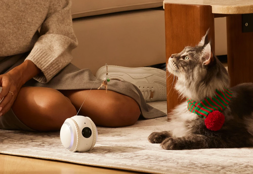 pet video camera monitor