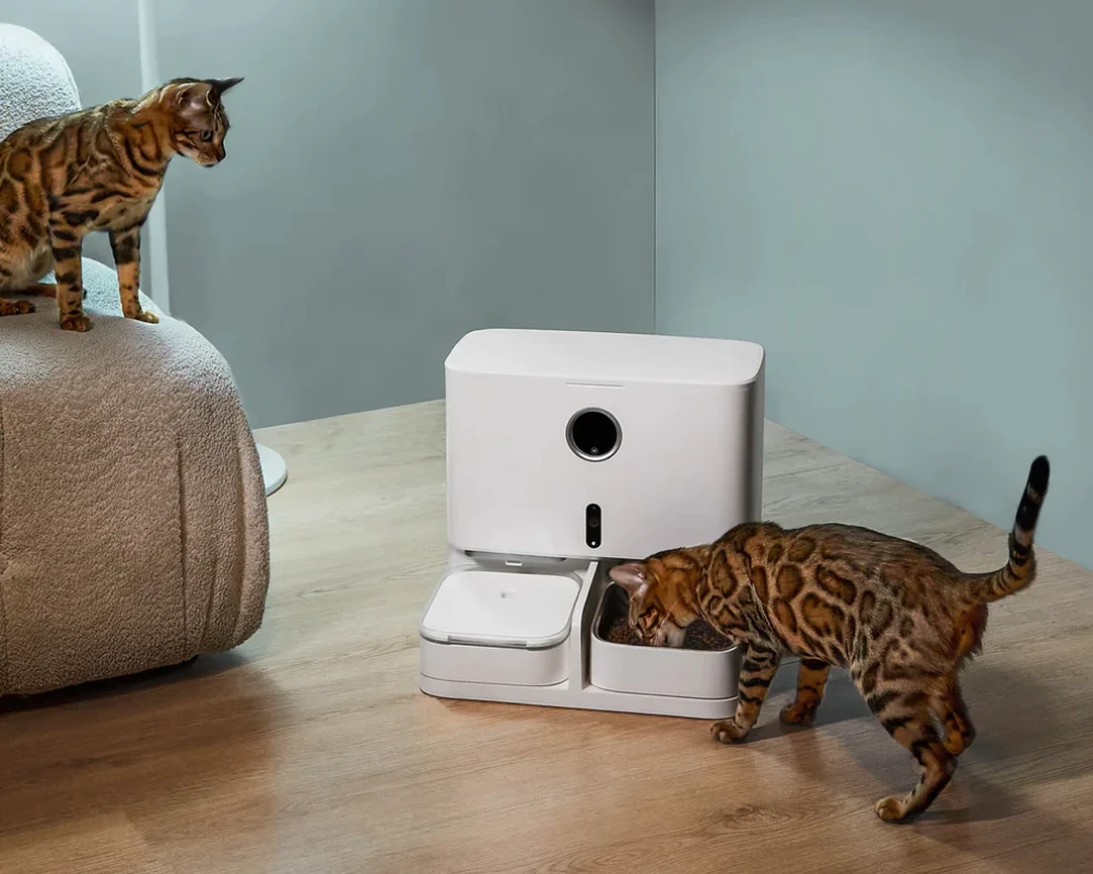 smart automatic pet feeder